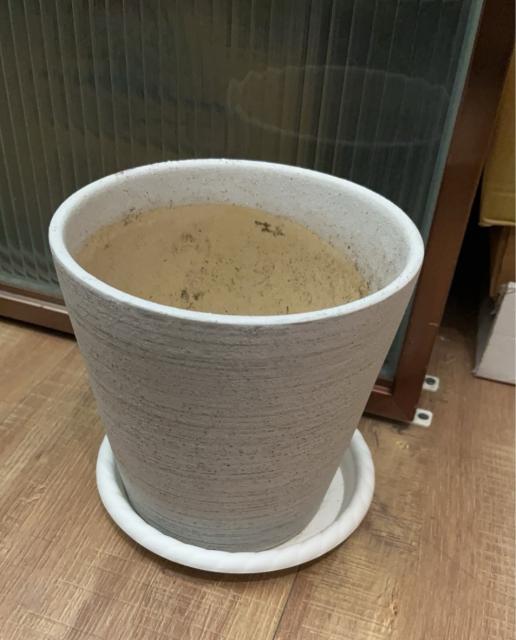 白色底盤的灰白色圓錐形波紋紋理植栽盆