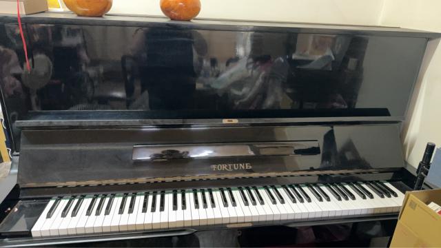 Fortune福音牌（台灣）